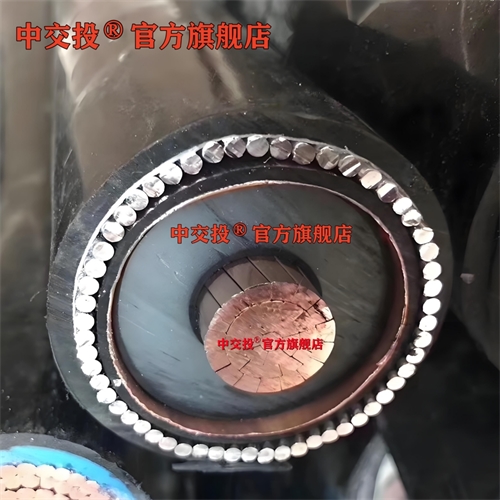 廣西電投線纜有限公司-26/35kv YJLHV22 3x300平方鋁合金高壓電纜-南寧電投電線電纜